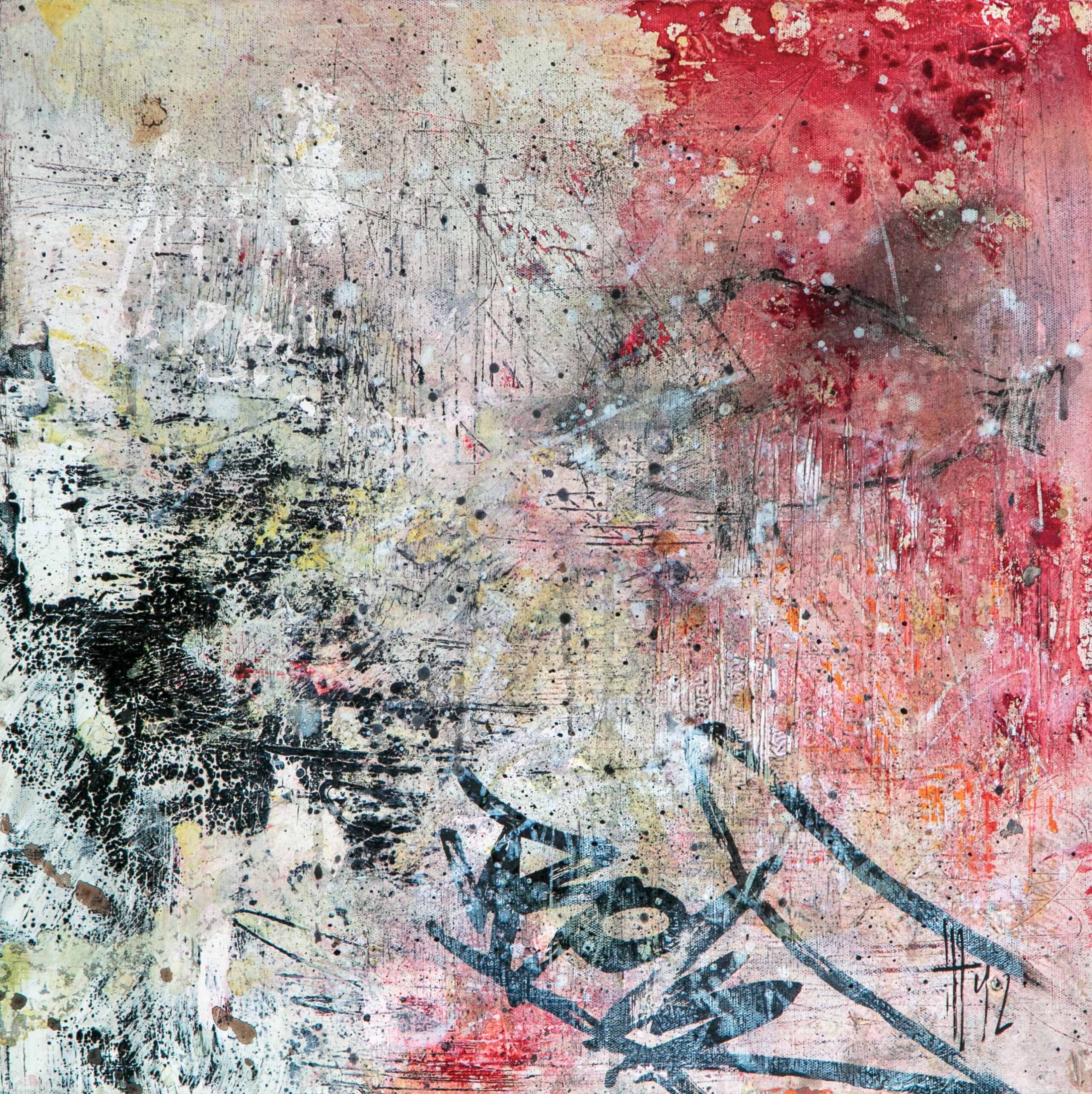 Darwin <span>by Holly Thoburn</span>