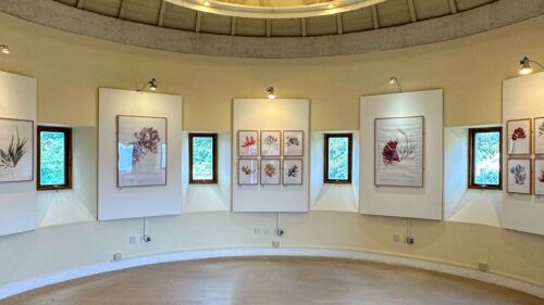 Art Galleries in St Davids