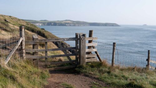 Guided Wildlife Walks with Peninsula Guides | Twr y Felin