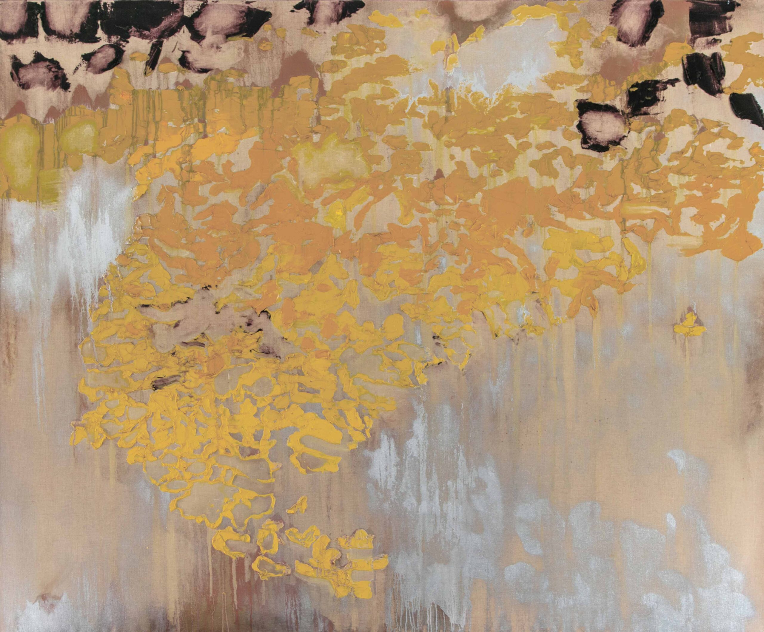 Harmony <span>by Brendan Stuart Burns</span>