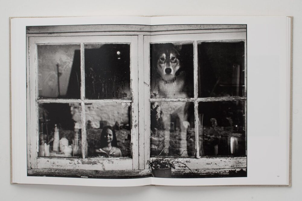 Dog in Window (Pebidiog)