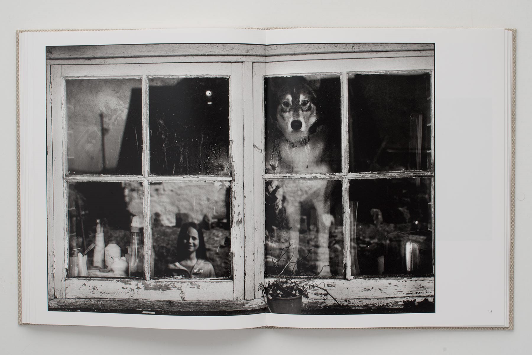 Dog in Window (Pebidiog) <span>by Marcus Oleniuk</span>