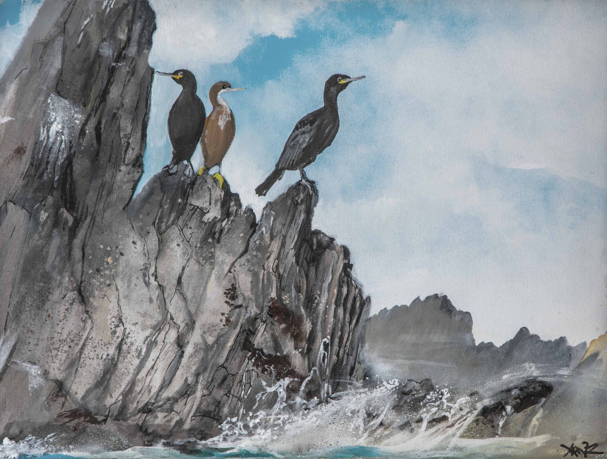 Shags <span>by Xenz</span>