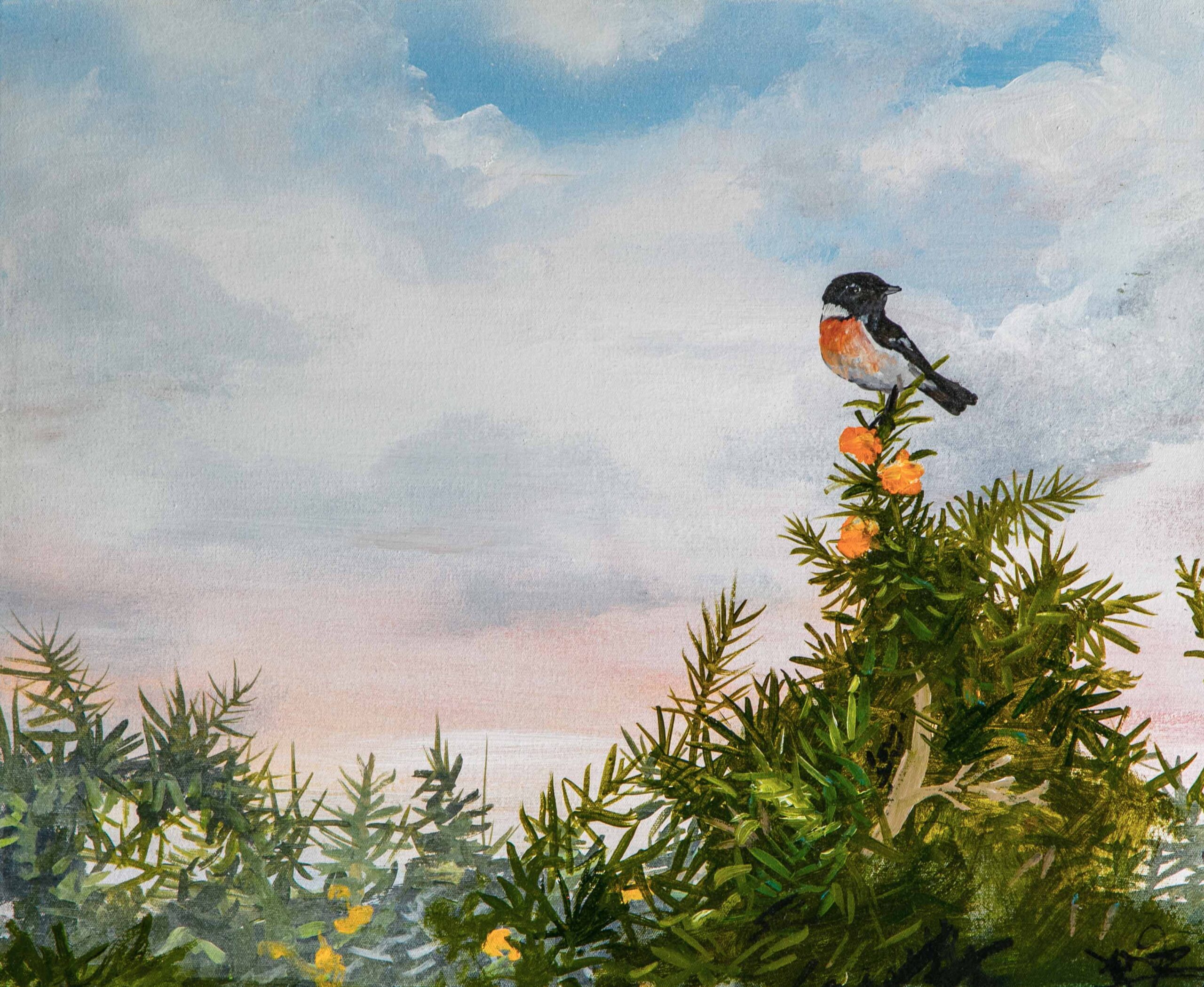 Stonechat <span>by Xenz</span>