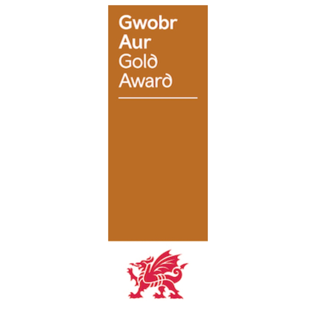Vist Wales Gold Award