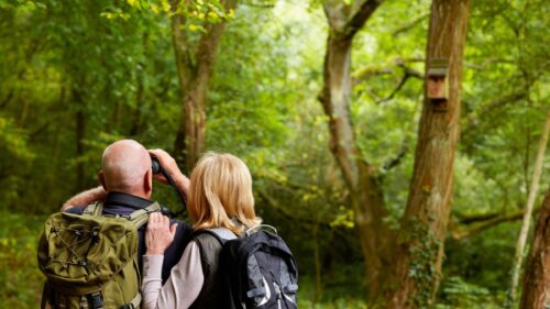 Penrhiw Priory Bird Watching Hamper